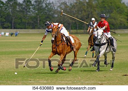Stock Image - Polo match Sarasota Florida. USA.. Fotosearch