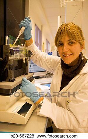 Polyacrylamide gel electrophoresis. Automatic sequencer. LICOR system, Biotechnology Laboratory, Neiker Tecnalia, Instituto de Investigaci? n y Desarrollo Agrario, Ganadero, Forestal y del Medio Natural, Arkaute, Alava, Euskadi, Spain. View Large Photo Image Stock Photo - Polyacrylamide gel electrophoresis. Automatic sequencer. LICOR system, Biotechnology Laboratory, Neiker Tecnalia, Instituto de Investigaci? n y Desarrollo Agrario, Ganadero, Forestal y del Medio Natural, Arkaute, Alava, Euskadi, Spain.. Fotosearch