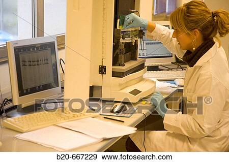 Stock Photo - Polyacrylamide gel electrophoresis. Automatic sequencer. LICOR system, Biotechnology Laboratory, Neiker Tecnalia, Instituto de Investigaci? n y Desarrollo Agrario, Ganadero, Forestal y del Medio Natural, Arkaute, Alava, Euskadi, Spain.. Fotosearch