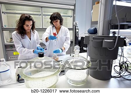 Polymer laboratory. View Large Photo Image Stock Photo - Polymer laboratory.. Fotosearch