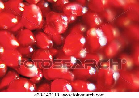 Pomegranate seeds View Large Photo Image Stock Photo - Pomegranate seeds. Fotosearch