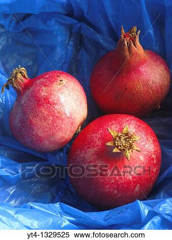 Pomegranates View Large Photo Image Stock Photography - Pomegranates. Fotosearch