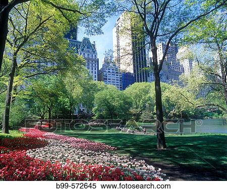 Pond, Central Park, Manhattan, New York, USA View Large Photo Image Stock Photography - Pond, Central Park, Manhattan, New York, USA. Fotosearch