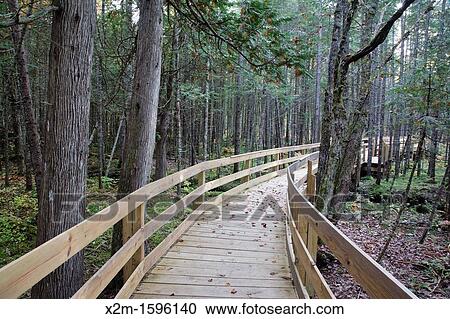 Pondicherry Wildlife Refuge - Mud Pond Trail in Jefferson, New Hampshire USA during the autumn months View Large Photo Image Stock Image - Pondicherry Wildlife Refuge - Mud Pond Trail in Jefferson, New Hampshire USA during the autumn months. Fotosearch