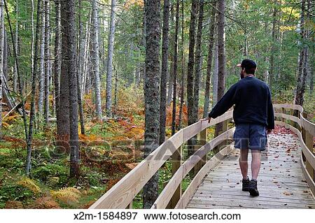 Pondicherry Wildlife Refuge - Mud Pond Trail in Jefferson, New Hampshire USA during the autumn months View Large Photo Image Stock Photo - Pondicherry Wildlife Refuge - Mud Pond Trail in Jefferson, New Hampshire USA during the autumn months. Fotosearch