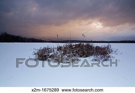 Pondicherry Wildlife Refuge - Sunrise from Cherry Pond during stormy weather snow storm in Jefferson, New Hampshire USA during the winter months View Large Photo Image Stock Photo - Pondicherry Wildlife Refuge - Sunrise from Cherry Pond during stormy weather snow storm in Jefferson, New Hampshire USA during the winter months. Fotosearch