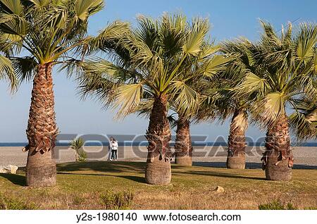 Stock Image - Poniente beach, Motril, Granada-province, Andalusia, Spain, Europe.. Fotosearch