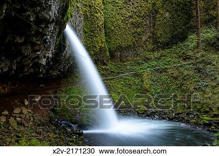 Ponytail Falls, Columbia River Gorge. View Large Photo Image Stock Image - Ponytail Falls, Columbia River Gorge.. Fotosearch