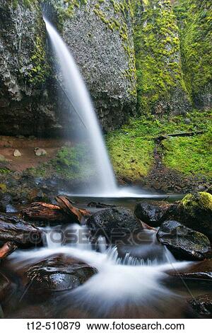 Ponytail falls in the Columbia River Gorge, Oregon View Large Photo Image Stock Photo - Ponytail falls in the Columbia River Gorge, Oregon. Fotosearch