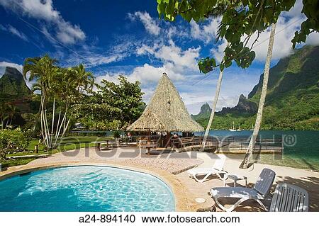 Pool at Bali Hai Club, Cook's Bay, Moorea, Society Islands, French Polynesia (May, 2009) View Large Photo Image Stock Image - Pool at Bali Hai Club, Cook's Bay, Moorea, Society Islands, French Polynesia (May, 2009). Fotosearch