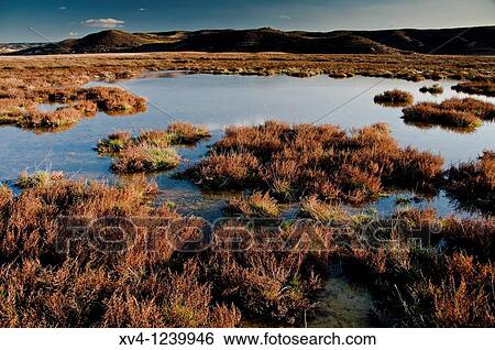Pool in Mos Steppes landscape Aragon Spain Europe View Large Photo Image Stock Photograph - Pool in Mos Steppes landscape Aragon Spain Europe. Fotosearch