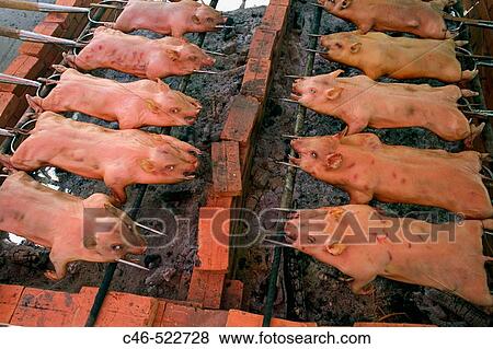 Porks, Ben Tree, Mekong Delta. Vietnam View Large Photo Image Stock Photo - Porks, Ben Tree, Mekong Delta. Vietnam. Fotosearch