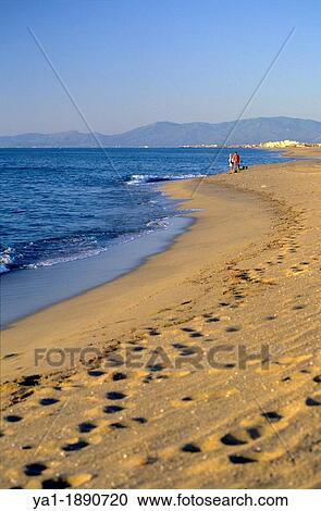 Port Barcares beach, Eastern Pyrenees, Languedoc-Roussillon, France View Large Photo Image Stock Image - Port Barcares beach, Eastern Pyrenees, Languedoc-Roussillon, France. Fotosearch
