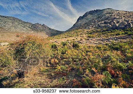 Portacho del Cuchillo en la Sierra de la Paramera? vila Castilla Le? n Espaa View Large Photo Image Stock Photo - Portacho del Cuchillo en la Sierra de la Paramera? vila Castilla Le? n Espaa. Fotosearch