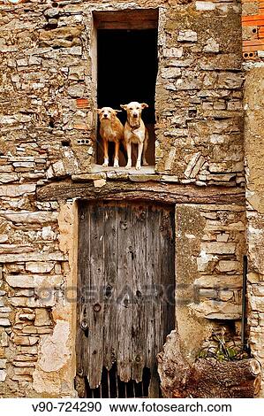 Portell, la Segarra, Catalonia, Spain. View Large Photo Image Stock Image - Portell, la Segarra, Catalonia, Spain.. Fotosearch
