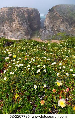 Porto Covo, Natural Park of Southwest Alentejo and Costa Vicentina, Alentejo, Portugal, Europe. View Large Photo Image Stock Photography - Porto Covo, Natural Park of Southwest Alentejo and Costa Vicentina, Alentejo, Portugal, Europe.. Fotosearch