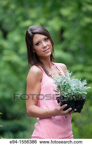 Portrait of a 25 year old brunette woman in a garden setting holding Dusty Miller plants View Large Photo Image Stock Photograph - Portrait of a 25 year old brunette woman in a garden setting holding Dusty Miller plants. Fotosearch