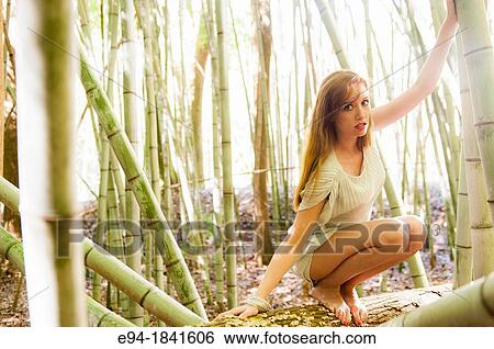 Portrait of a 30 year old redheaded woman wearing a white dress in a bamboo forest View Large Photo Image Stock Photograph - Portrait of a 30 year old redheaded woman wearing a white dress in a bamboo forest. Fotosearch