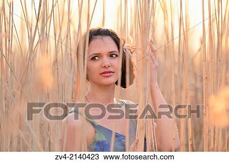 Portrait of a good looking young woman in the reeds at sunset in early spring. View Large Photo Image Stock Image - Portrait of a good looking young woman in the reeds at sunset in early spring.. Fotosearch