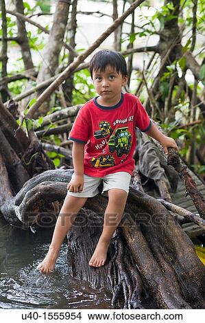 Portrait of a Latin boy View Large Photo Image Picture - Portrait of a Latin boy. Fotosearch