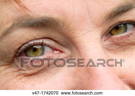 portrait of a woman's eyes View Large Photo Image Stock Image - portrait of a woman's eyes. Fotosearch