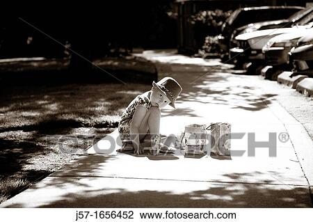 Stock Image - Portrait of a young girl with pediatric cancer leukaemia with her toys sitting on the sidewalk. Fotosearch