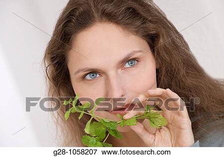 portrait of a young woman holding and smelling a sprig of mint View Large Photo Image Stock Photo - portrait of a young woman holding and smelling a sprig of mint. Fotosearch
