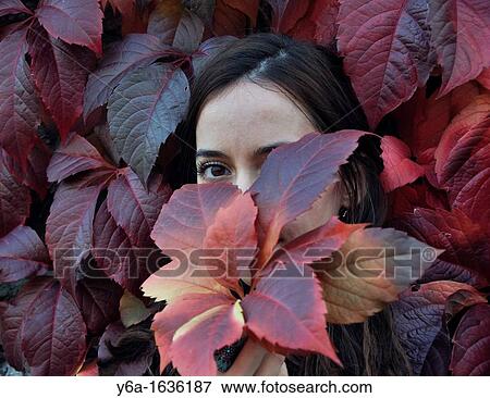 Portrait of a young woman outdoors holding ivy leaf in front of face View Large Photo Image Stock Photo - Portrait of a young woman outdoors holding ivy leaf in front of face. Fotosearch
