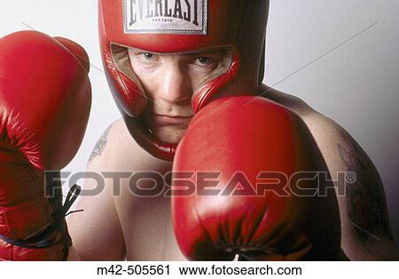 Portrait of boxer View Large Photo Image Stock Image - Portrait of boxer. Fotosearch