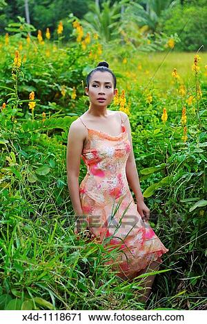 Portrait of woman, Cambodia View Large Photo Image Stock Image - Portrait of woman, Cambodia. Fotosearch