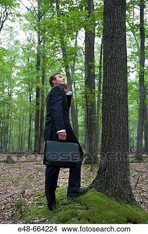 Portrait of young businessman in forest with cellular phone View Large Photo Image Picture - Portrait of young businessman in forest with cellular phone. Fotosearch