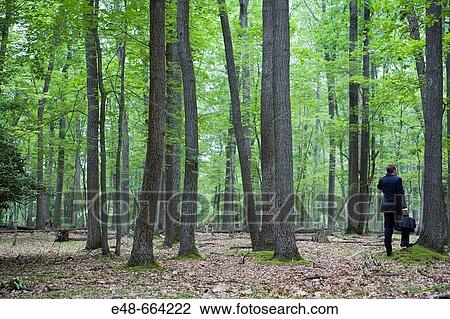 Portrait of young businessman in forest with cellular phone View Large Photo Image Stock Image - Portrait of young businessman in forest with cellular phone. Fotosearch