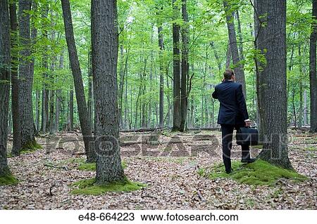 Portrait of young businessman in forest with cellular phone View Large Photo Image Stock Image - Portrait of young businessman in forest with cellular phone. Fotosearch