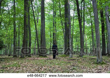 Portrait of young businessman in forest with briefcase View Large Photo Image Stock Photo - Portrait of young businessman in forest with briefcase. Fotosearch