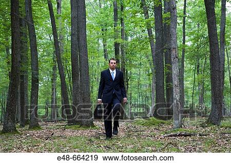 Portrait of young businessman in forest with briefcase View Large Photo Image Stock Photo - Portrait of young businessman in forest with briefcase. Fotosearch