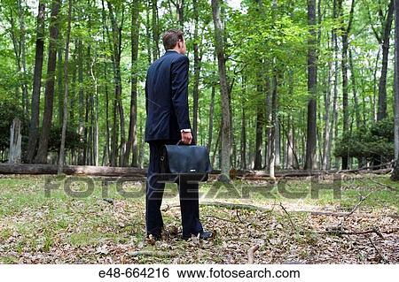 Portrait of young businessman in forest with briefcase View Large Photo Image Stock Photograph - Portrait of young businessman in forest with briefcase. Fotosearch