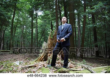 Portrait of young businessman standing in forest View Large Photo Image Stock Photo - Portrait of young businessman standing in forest. Fotosearch