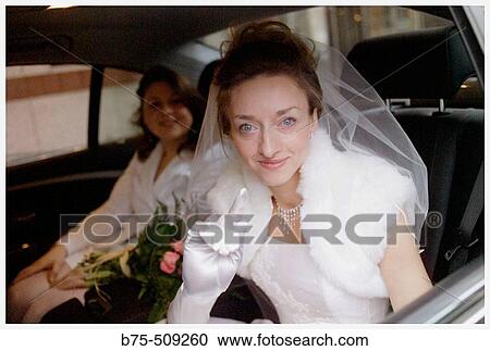 Portrait View Large Photo Image Stock Image - Portrait. Fotosearch