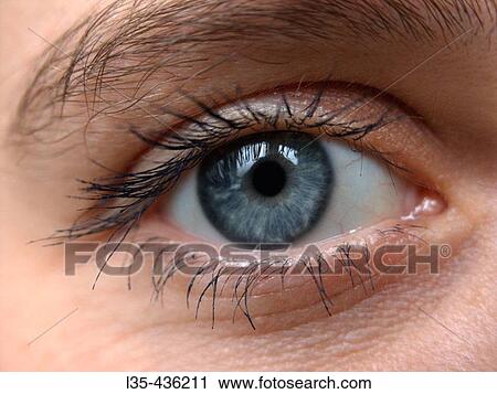 Stock Image - Portrait. Fotosearch