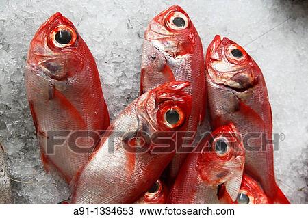 Portugal, Madeira, Funchal, the fish market View Large Photo Image Stock Image - Portugal, Madeira, Funchal, the fish market. Fotosearch