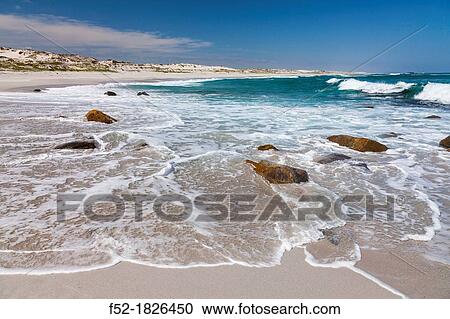 Stock Image - Postberg Trail, West Coast National Park, Western Cape province, South Africa, Africa.. Fotosearch