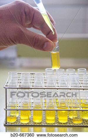 Potato quality analysis. Quality Laboratory, Neiker Tecnalia, Instituto de Investigaci? n y Desarrollo Agrario, Ganadero, Forestal y del Medio Natural, Arkaute, Alava, Euskadi, Spain. View Large Photo Image Stock Image - Potato quality analysis. Quality Laboratory, Neiker Tecnalia, Instituto de Investigaci? n y Desarrollo Agrario, Ganadero, Forestal y del Medio Natural, Arkaute, Alava, Euskadi, Spain.. Fotosearch