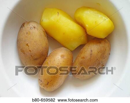 Potatos, Kiel, Schleswig-Holstein, Germany View Large Photo Image Stock Image - Potatos, Kiel, Schleswig-Holstein, Germany. Fotosearch