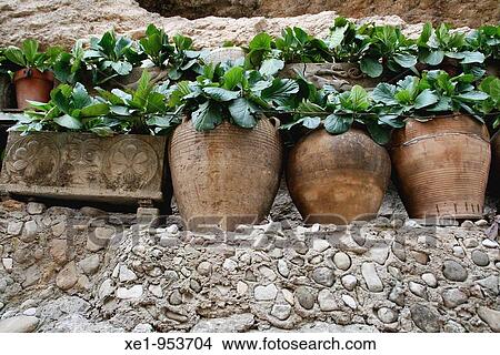Picture - Pots, garden. Fotosearch
