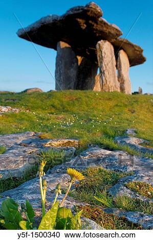 Poulnabrone dolmen at Western Ireland View Large Photo Image Stock Image - Poulnabrone dolmen at Western Ireland. Fotosearch