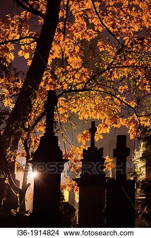 Powazki Cemetary in Warsaw Poland View Large Photo Image Picture - Powazki Cemetary in Warsaw Poland. Fotosearch