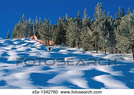 Stock Image - Powder snow on the moguls of Thompson's Run in Red Lodge, Montana, USA. Fotosearch