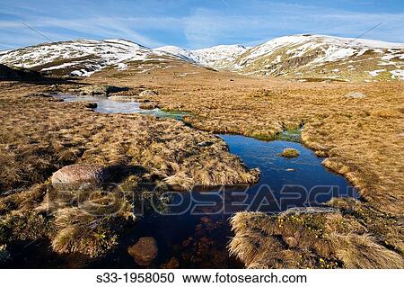 Stock Image - Prado de las Pozas in the Sierra de Gredos. Avila. Castilla Leon. Spain.. Fotosearch