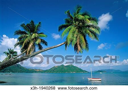 Praslin island, Republic of Seychelles, Indian Ocean View Large Photo Image Stock Photo - Praslin island, Republic of Seychelles, Indian Ocean. Fotosearch
