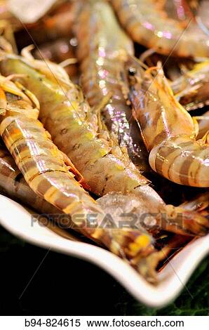 Prawns View Large Photo Image Stock Photography - Prawns. Fotosearch